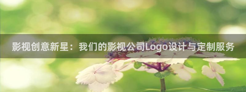 汤姆高清影院：影视创意新星：我们的影视公司Logo设计与定制服务