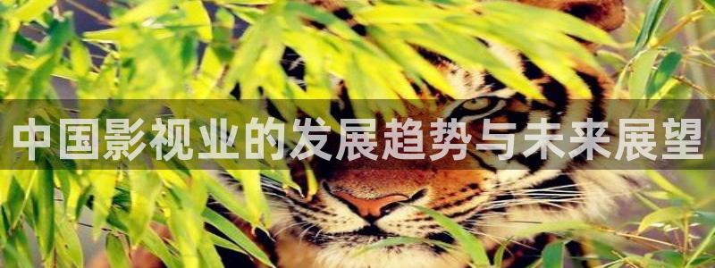 汤姆影视.：中国影视业的发展趋势与未来展望