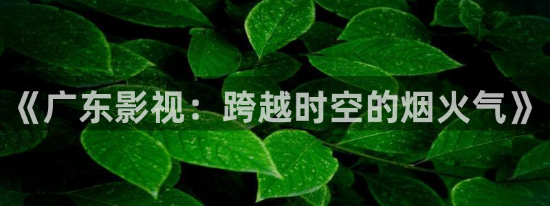 tom汤姆影院：《广东影视：跨越时空的烟火气》