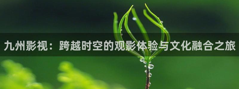 国产汤姆影院：九州影视：跨越时空的观影体验与文化融合之旅