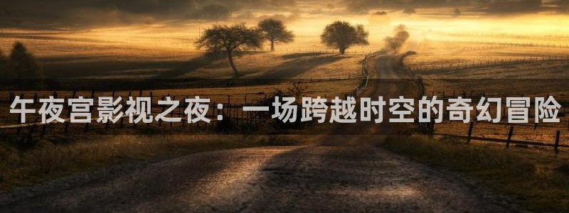 汤姆影剧院：午夜宫影视之夜：一场跨越时空的奇幻冒险
