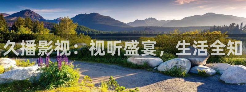 汤姆影院在线成人：久播影视：视听盛宴，生活全知