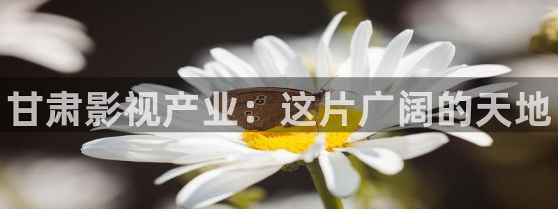 汤姆影院在线：甘肃影视产业：这片广阔的天地