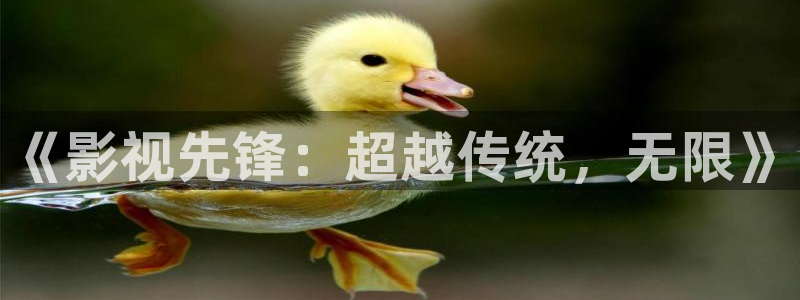 汤姆影院最新地址入口：《影视先锋：超越传统，无限》