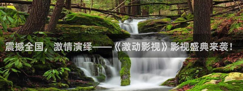 汤姆影院avav：震撼全国，激情演绎——《激动影视》影视盛典来袭！